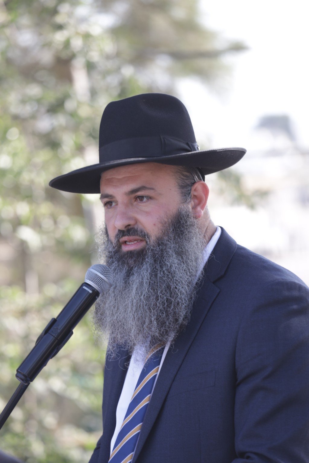 פעילות המרכז